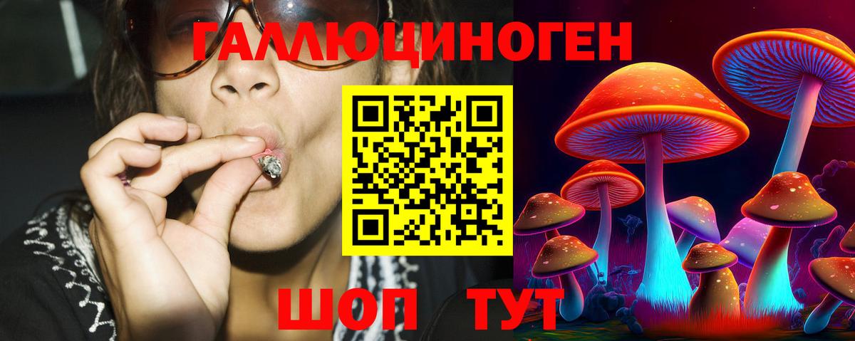 Красногорск  Галлюциногенные грибы мицелий  Вход с VPN 